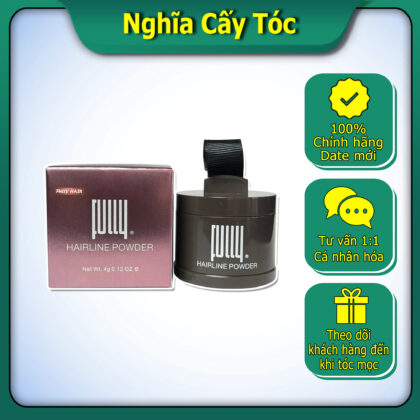 Phấn Phủ FULLY HAIR HAIRLINE POWDER 4g (Màu Đen)